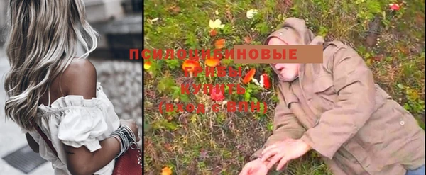 Альфа ПВП Абаза